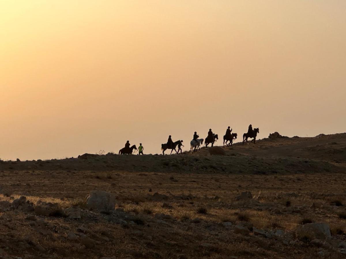 Petra Desert Dream Hotel Вади Муса Экстерьер фото
