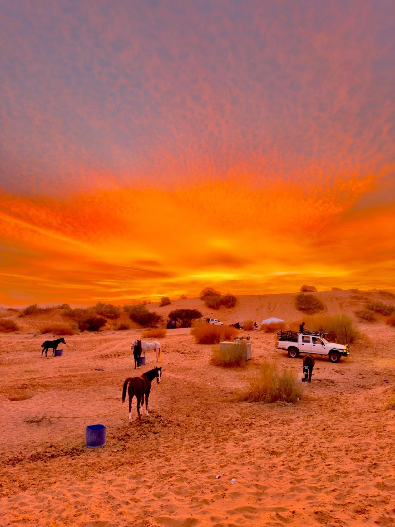Petra Desert Dream Hotel Вади Муса Экстерьер фото