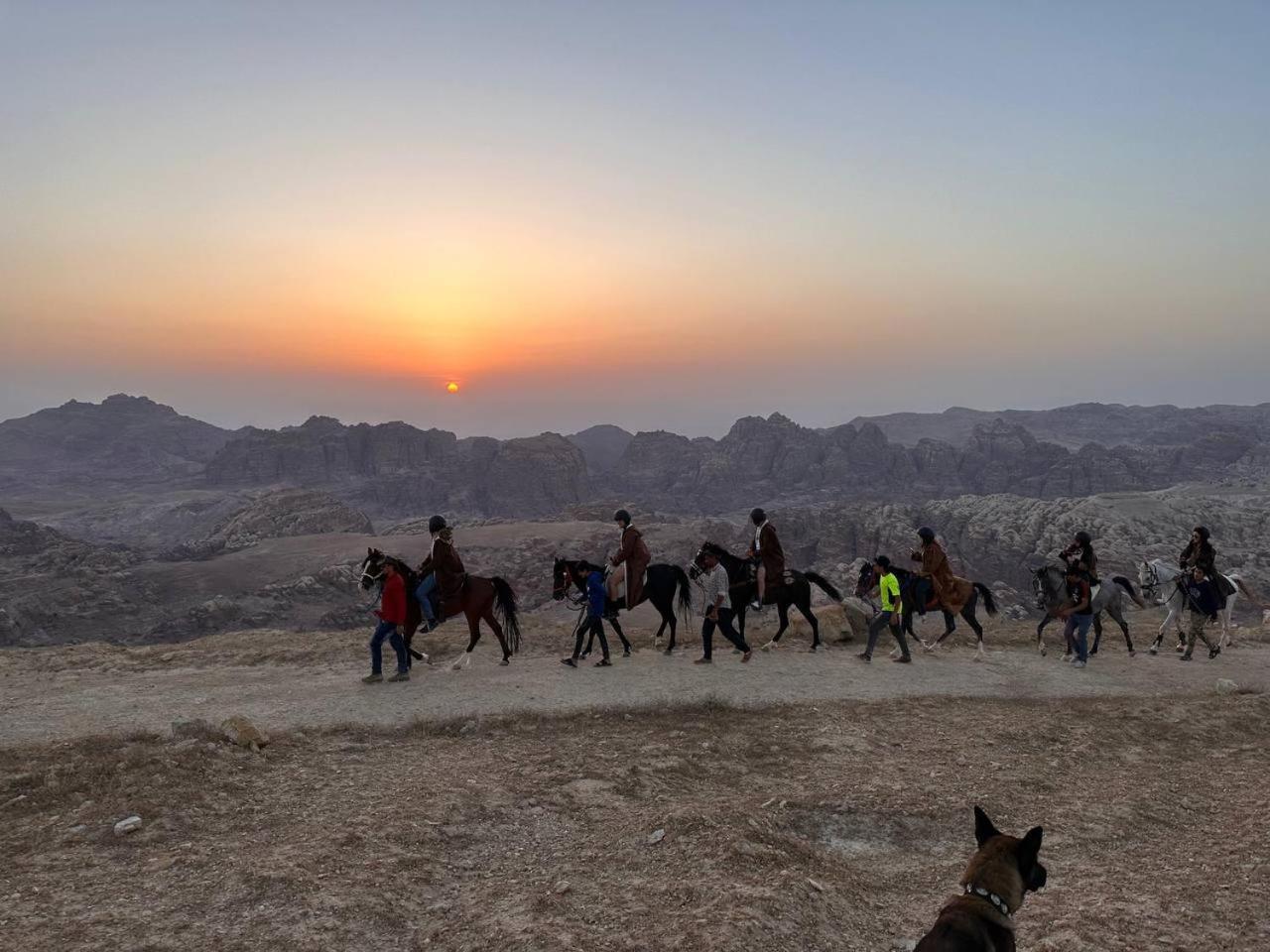 Petra Desert Dream Hotel Вади Муса Экстерьер фото