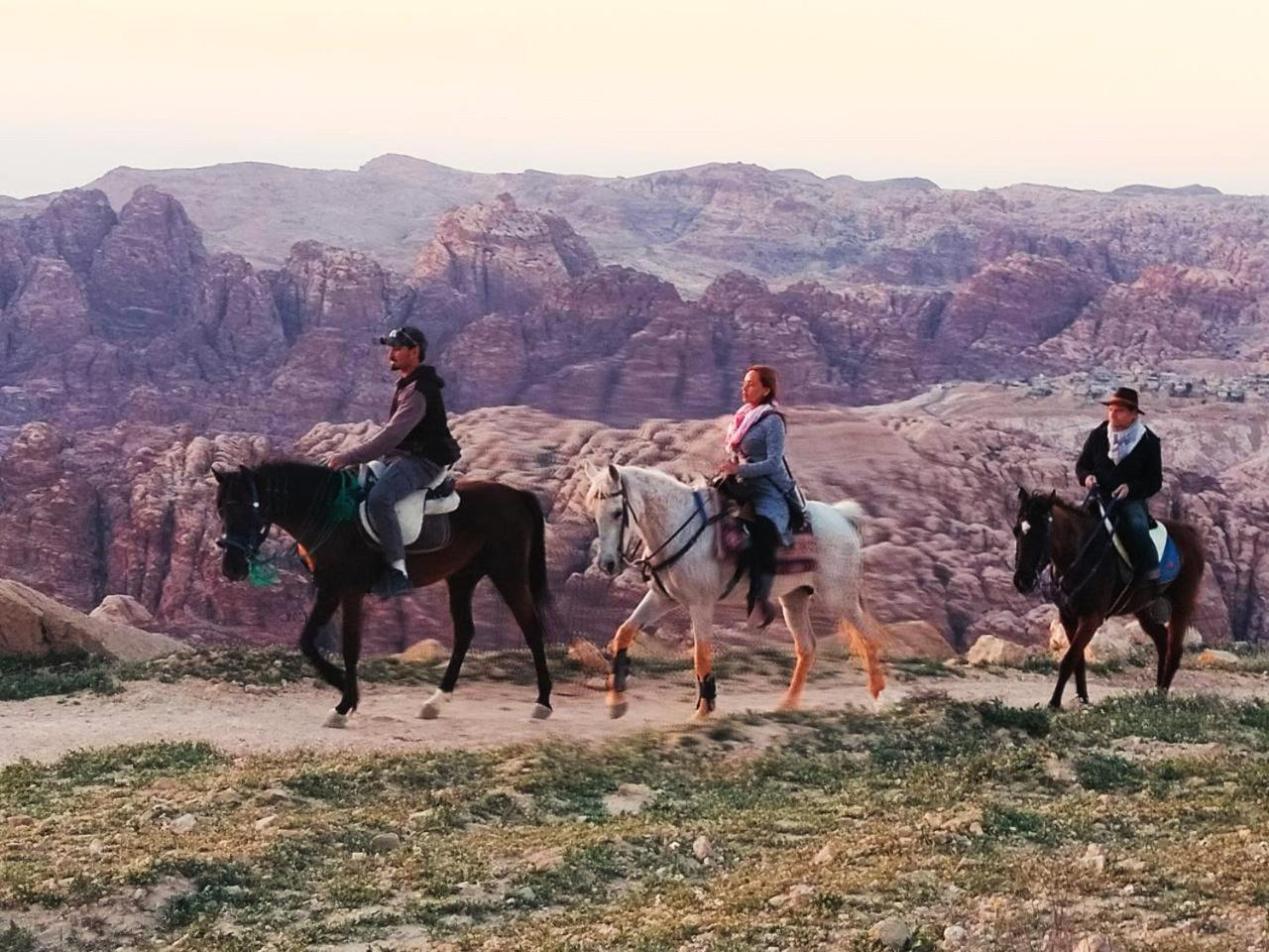 Petra Desert Dream Hotel Вади Муса Экстерьер фото