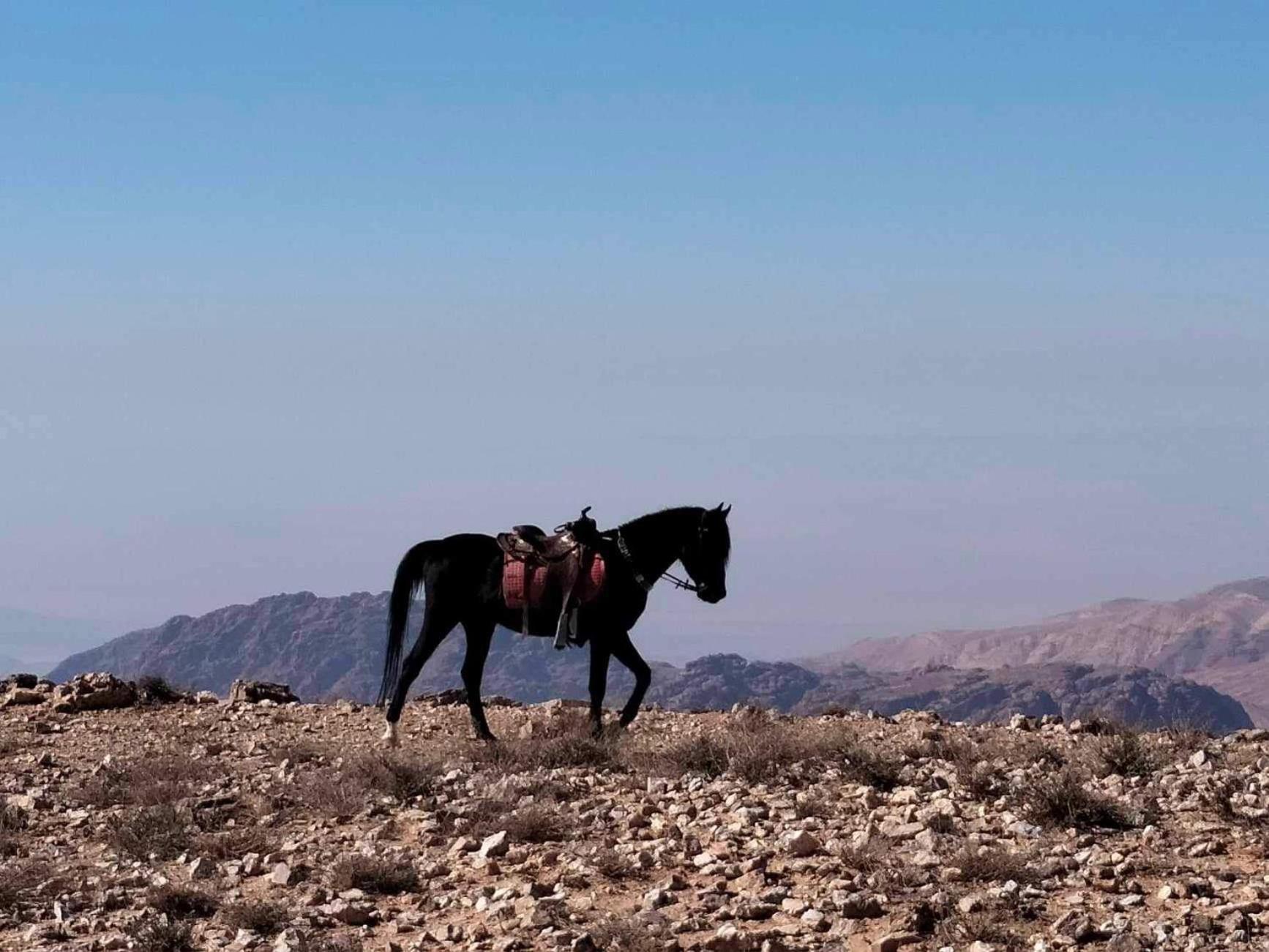Petra Desert Dream Hotel Вади Муса Экстерьер фото